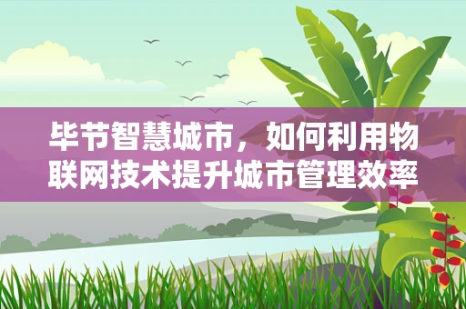 毕节智慧城市，如何利用物联网技术提升城市管理效率？