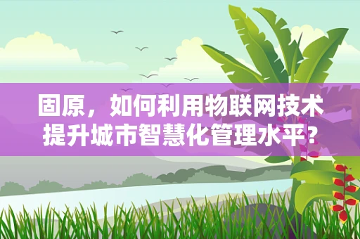 固原，如何利用物联网技术提升城市智慧化管理水平？