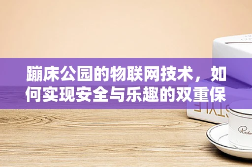 蹦床公园的物联网技术，如何实现安全与乐趣的双重保障？