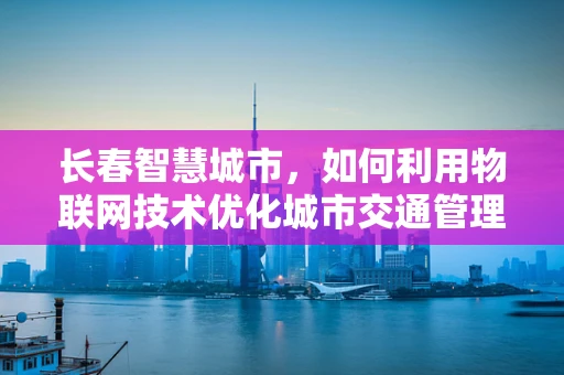 长春智慧城市，如何利用物联网技术优化城市交通管理？