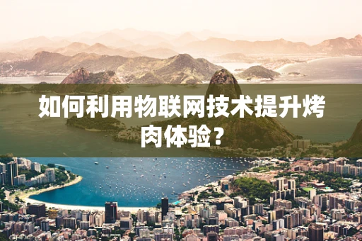 如何利用物联网技术提升烤肉体验？
