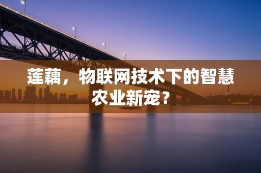 莲藕，物联网技术下的智慧农业新宠？