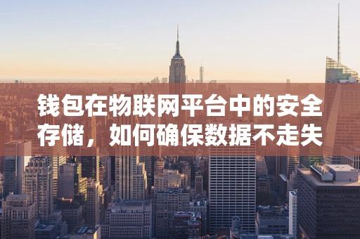 钱包在物联网平台中的安全存储，如何确保数据不走失？