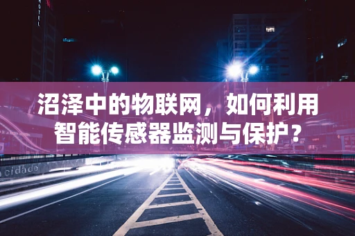沼泽中的物联网，如何利用智能传感器监测与保护？