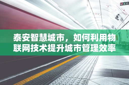 泰安智慧城市，如何利用物联网技术提升城市管理效率？