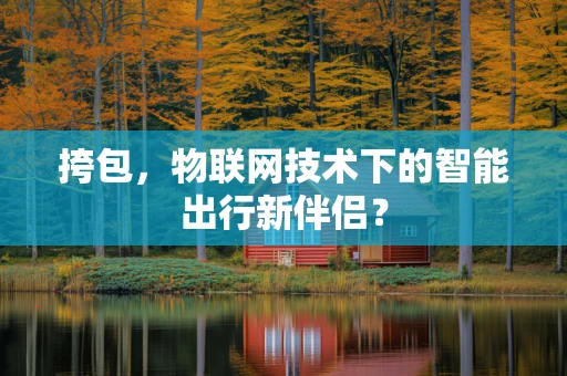 挎包，物联网技术下的智能出行新伴侣？