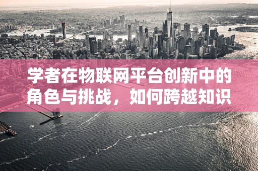 学者在物联网平台创新中的角色与挑战，如何跨越知识鸿沟？