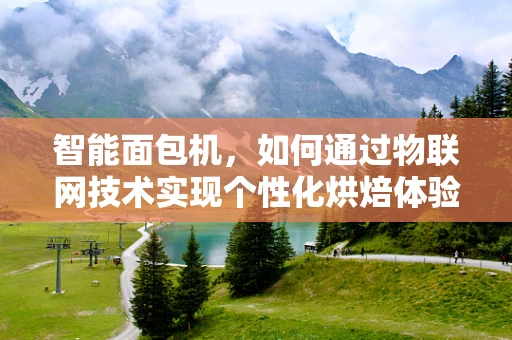 智能面包机，如何通过物联网技术实现个性化烘焙体验？
