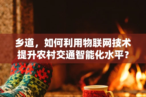 乡道，如何利用物联网技术提升农村交通智能化水平？