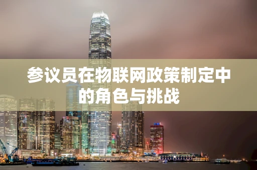 参议员在物联网政策制定中的角色与挑战