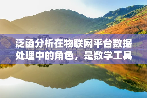 泛函分析在物联网平台数据处理中的角色，是数学工具还是思维革命？