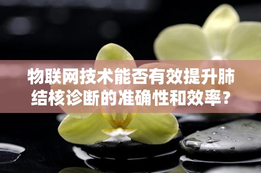 物联网技术能否有效提升肺结核诊断的准确性和效率？