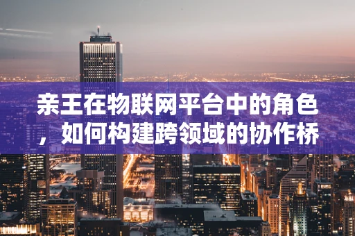 亲王在物联网平台中的角色，如何构建跨领域的协作桥梁？
