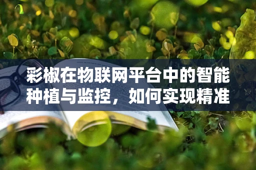 彩椒在物联网平台中的智能种植与监控，如何实现精准管理？