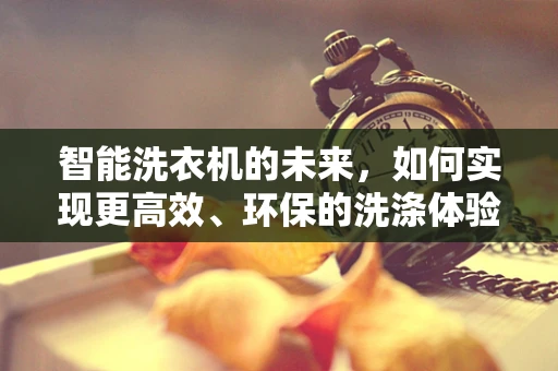 智能洗衣机的未来，如何实现更高效、环保的洗涤体验？