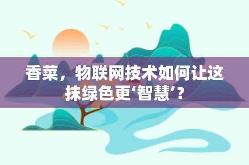 香菜，物联网技术如何让这抹绿色更‘智慧’？