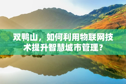 双鸭山，如何利用物联网技术提升智慧城市管理？