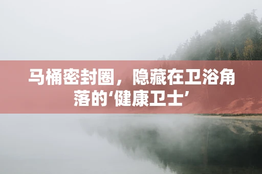 马桶密封圈，隐藏在卫浴角落的‘健康卫士’