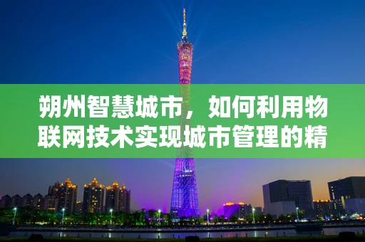 朔州智慧城市，如何利用物联网技术实现城市管理的精细化与高效化？