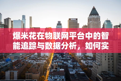 爆米花在物联网平台中的智能追踪与数据分析，如何实现精准营销？
