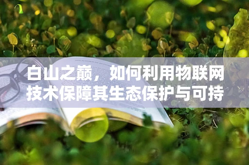 白山之巅，如何利用物联网技术保障其生态保护与可持续发展？