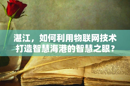 湛江，如何利用物联网技术打造智慧海港的智慧之眼？