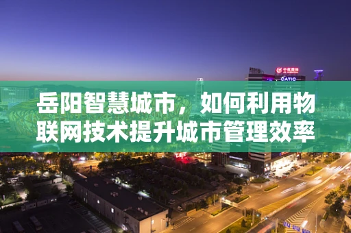岳阳智慧城市，如何利用物联网技术提升城市管理效率？