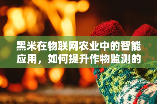 黑米在物联网农业中的智能应用，如何提升作物监测的精准度？