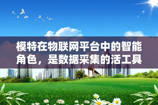 模特在物联网平台中的智能角色，是数据采集的活工具吗？