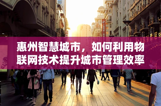 惠州智慧城市，如何利用物联网技术提升城市管理效率？