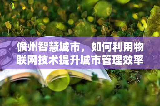 儋州智慧城市，如何利用物联网技术提升城市管理效率？