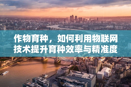 作物育种，如何利用物联网技术提升育种效率与精准度？