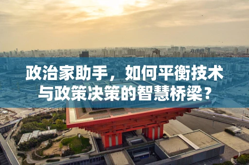 政治家助手，如何平衡技术与政策决策的智慧桥梁？