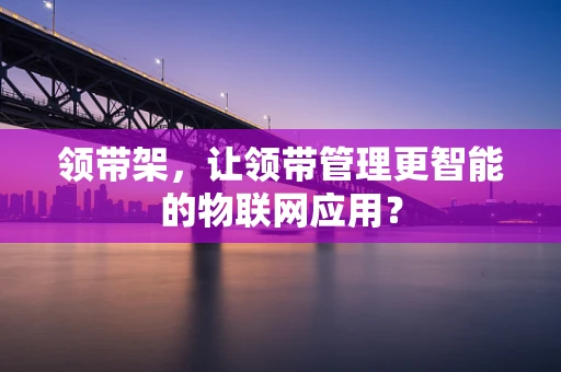 领带架，让领带管理更智能的物联网应用？