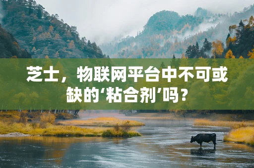 芝士，物联网平台中不可或缺的‘粘合剂’吗？