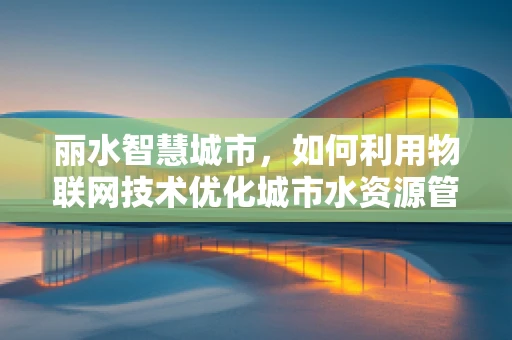 丽水智慧城市，如何利用物联网技术优化城市水资源管理？