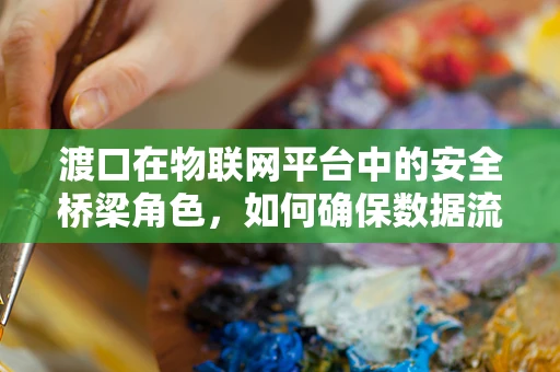 渡口在物联网平台中的安全桥梁角色，如何确保数据流通的‘安全港’？