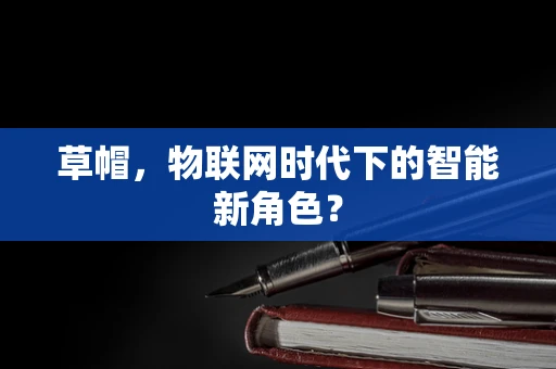 草帽，物联网时代下的智能新角色？