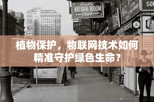 植物保护，物联网技术如何精准守护绿色生命？