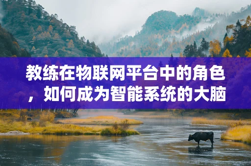 教练在物联网平台中的角色，如何成为智能系统的大脑训练师？