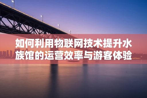 如何利用物联网技术提升水族馆的运营效率与游客体验？