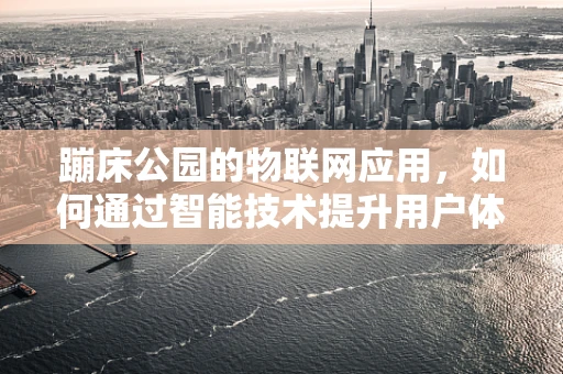 蹦床公园的物联网应用，如何通过智能技术提升用户体验？