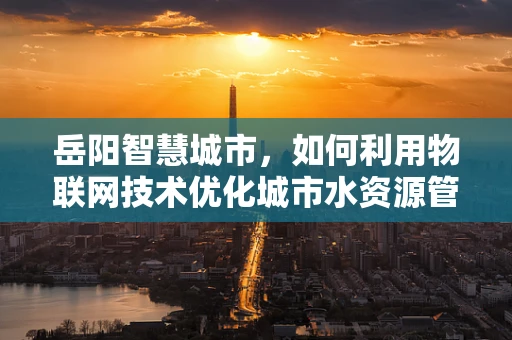 岳阳智慧城市，如何利用物联网技术优化城市水资源管理？