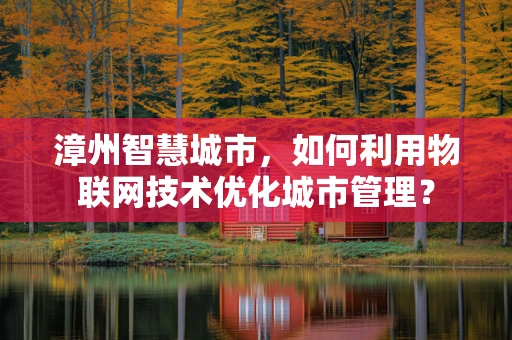 漳州智慧城市，如何利用物联网技术优化城市管理？