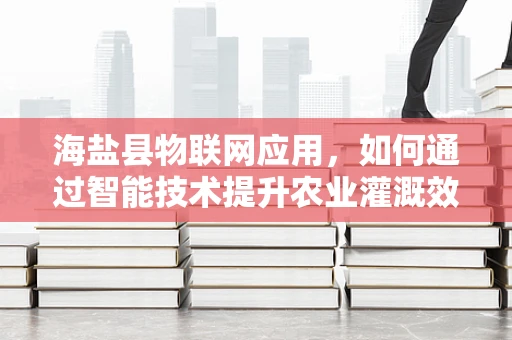 海盐县物联网应用，如何通过智能技术提升农业灌溉效率？
