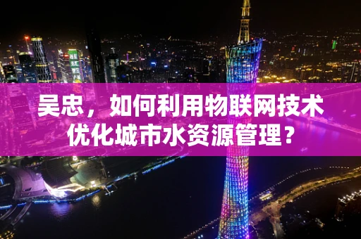 吴忠，如何利用物联网技术优化城市水资源管理？