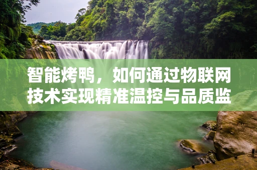 智能烤鸭，如何通过物联网技术实现精准温控与品质监控？