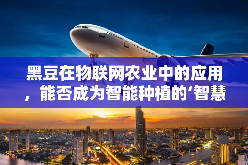 黑豆在物联网农业中的应用，能否成为智能种植的‘智慧豆’？