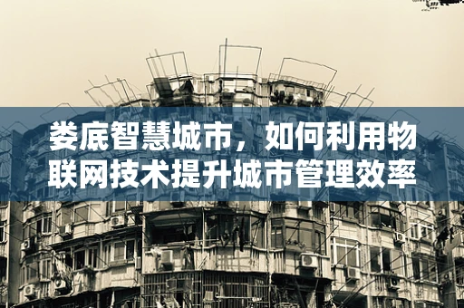 娄底智慧城市，如何利用物联网技术提升城市管理效率？