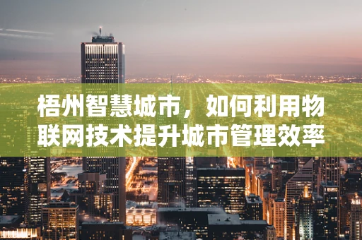 梧州智慧城市，如何利用物联网技术提升城市管理效率？